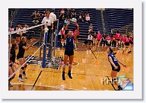 vs Hayden * (292 Slides)